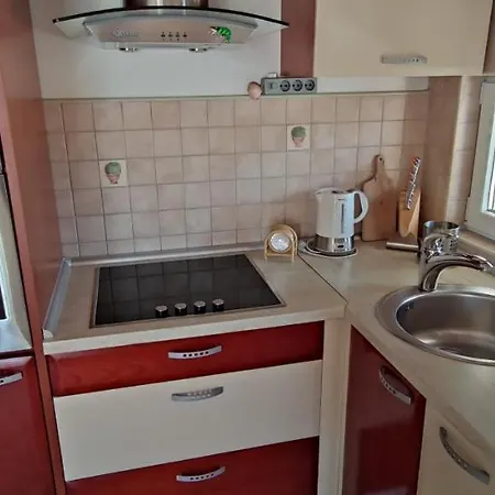 Apartment Visnja *