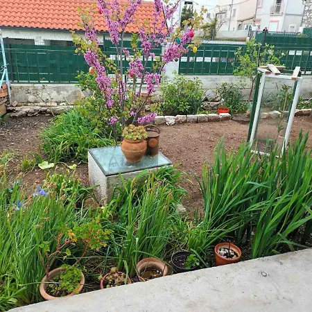 Apartment Visnja Vodice