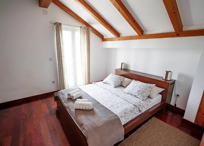 Visnja * ヴォディツェ